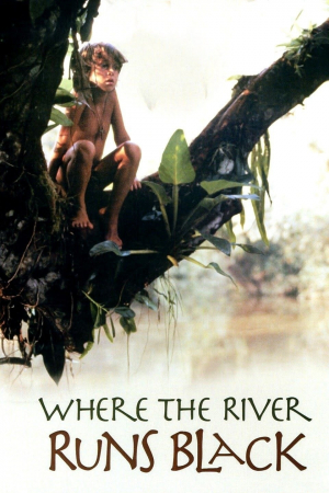 Cuando el río baja negro