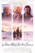 Película When the Whales Came