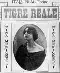 Película Tigre reale