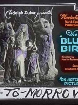 El pájaro azul