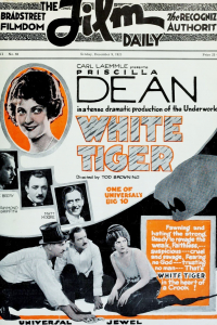 El tigre blanco