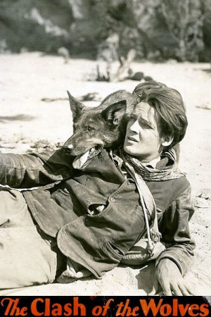 Rin Tin Tin y los lobos