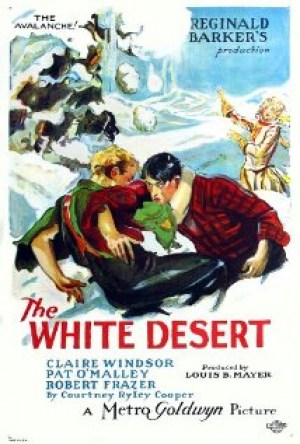 El desierto blanco