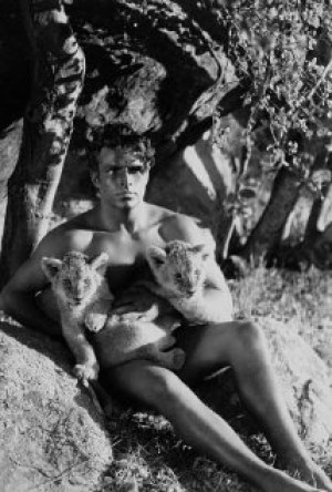 El hombre león