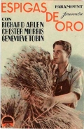 Golden Harvest