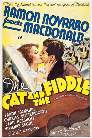 El gato y el violín