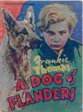 A Dog of Flanders