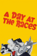 Película A Day at the Races
