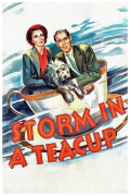 Película Storm in a Teacup