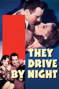 Película They Drive by Night