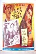 Película Mala yerba