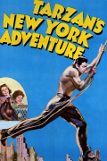 Película Tarzan's New York Adventure