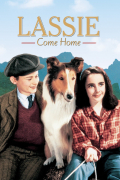 Película Lassie Come Home