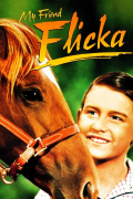 Película My Friend Flicka