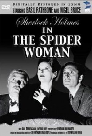 La mujer araña