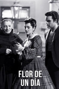 Flor de un día