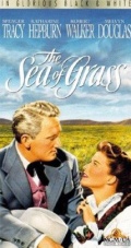 The Sea of Grass