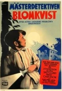 Mästerdetektiven Blomkvist