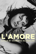 Película L'amore