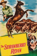 Película The Strawberry Roan