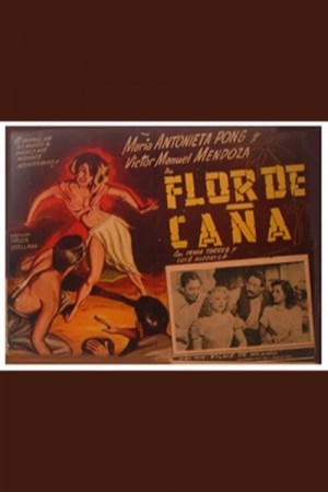Flor de caña