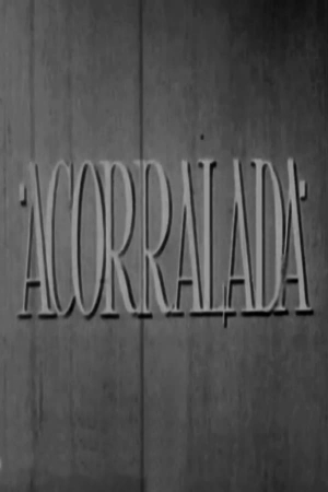 Acorralada Acorralada