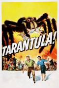 Película Tarantula