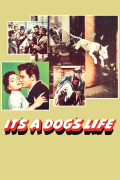 Película It's a Dog's Life