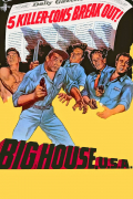 Película Big House, U.S.A.