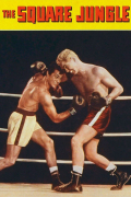 Película The Square Jungle
