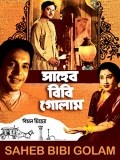 Saheb Bibi Golam
