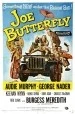 Joe Butterfly