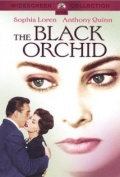 The Black Orchid