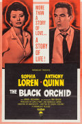 Película The Black Orchid