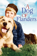 Película A Dog of Flanders