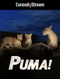 El puma - de El puma -