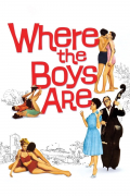 Película Where the Boys Are