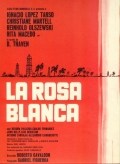 Película Rosa blanca