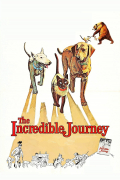 Película The Incredible Journey