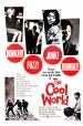 The Cool World