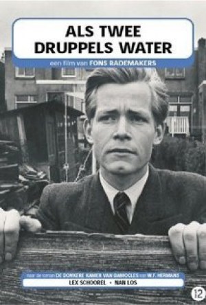 Als twee druppels water Als twee druppels water