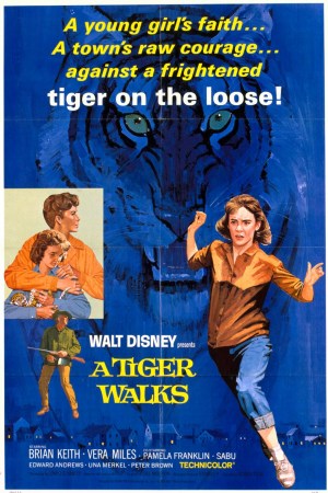 Un tigre se escapa