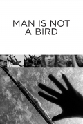 Película Man Is Not a Bird