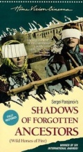 Shadows of Forgotten Ancestors