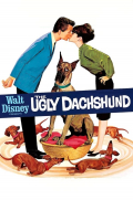 Película The Ugly Dachshund