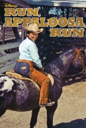 Run, Appaloosa, Run