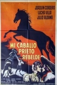 Mi caballo prieto rebelde