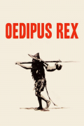 Película Oedipus Rex