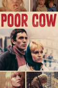 Película Poor Cow