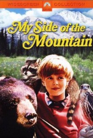 El muchacho y su montaña